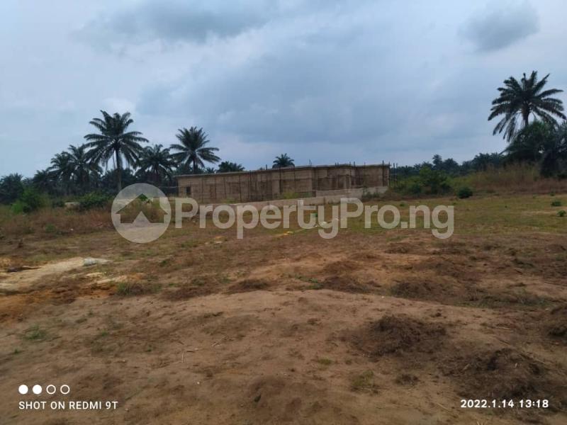 Land in Uyo Akwa Ibom Land for sale in uyo Land in uyo