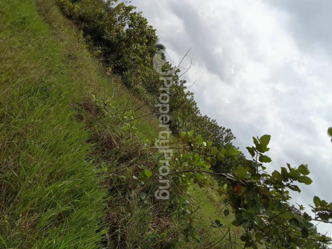 Land for sale Close To Coastal Road Ogombo Ajah Lagos - 0
