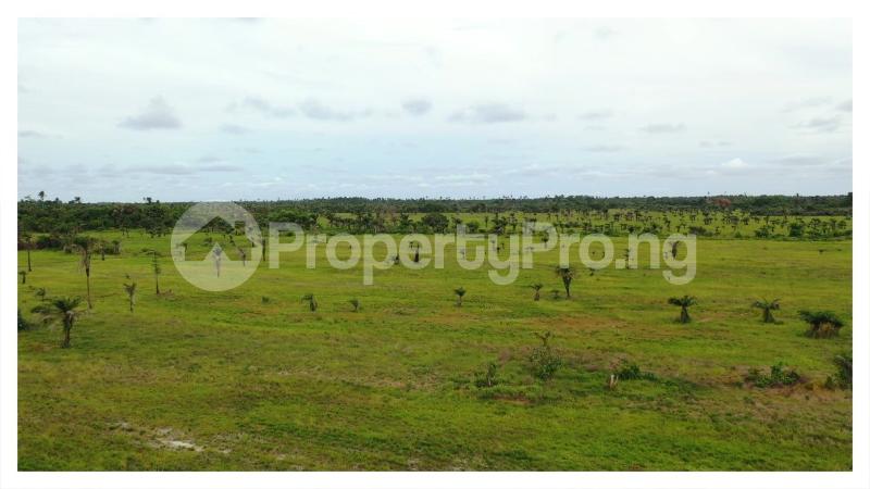 Land for sale Ibeju-Lekki Lagos
