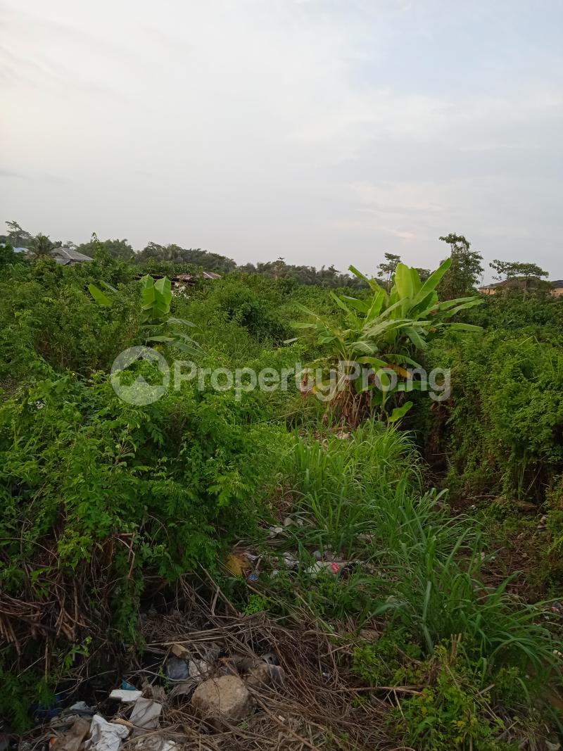 Land for sale Olayinka Jimbo Street Ebute Ikorodu Lagos State Ebute Ikorodu Lagos