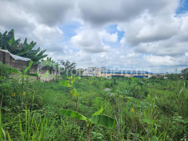 Land for sale Opposite British American Tobacco Ibadan Oyo