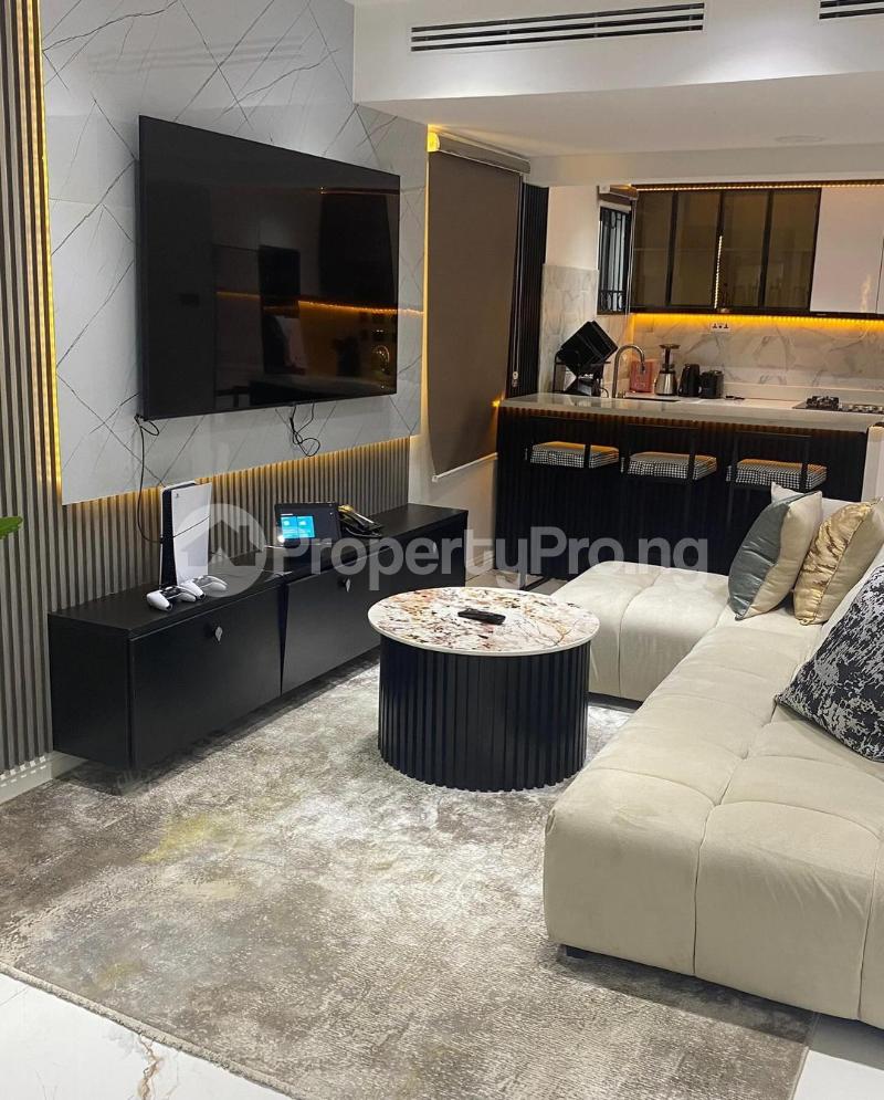 2 bedroom Flat / Apartment for rent Asokoro Abuja