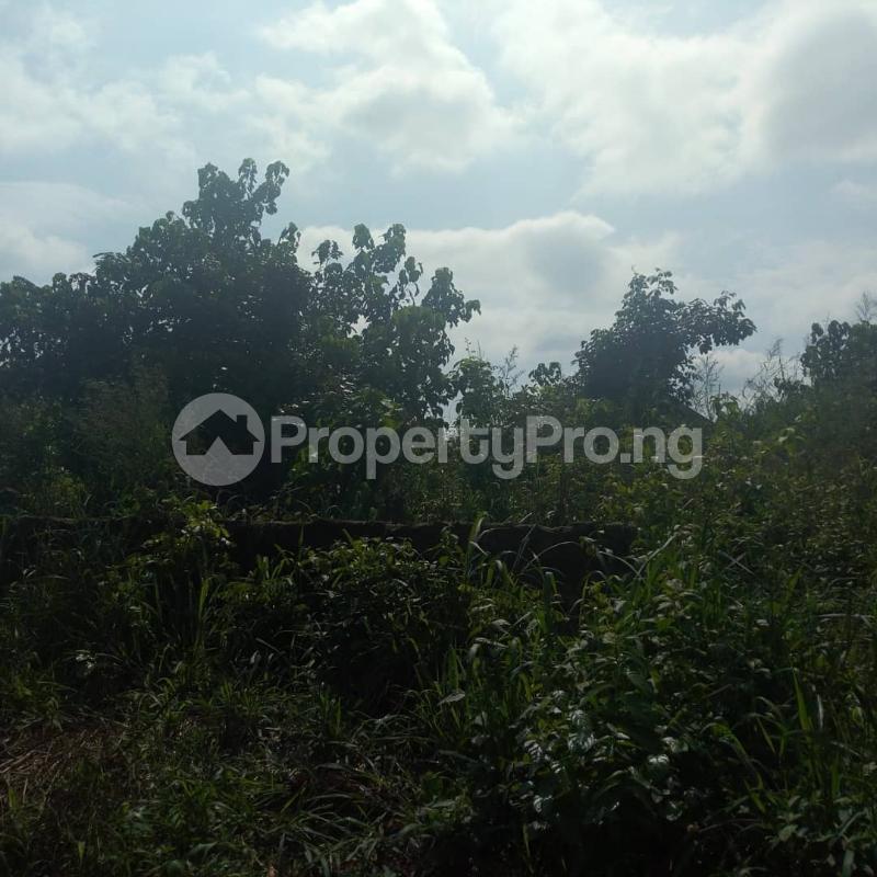 Land for sale Mcc New Road Wetheral Owerri Imo State Owerri Imo