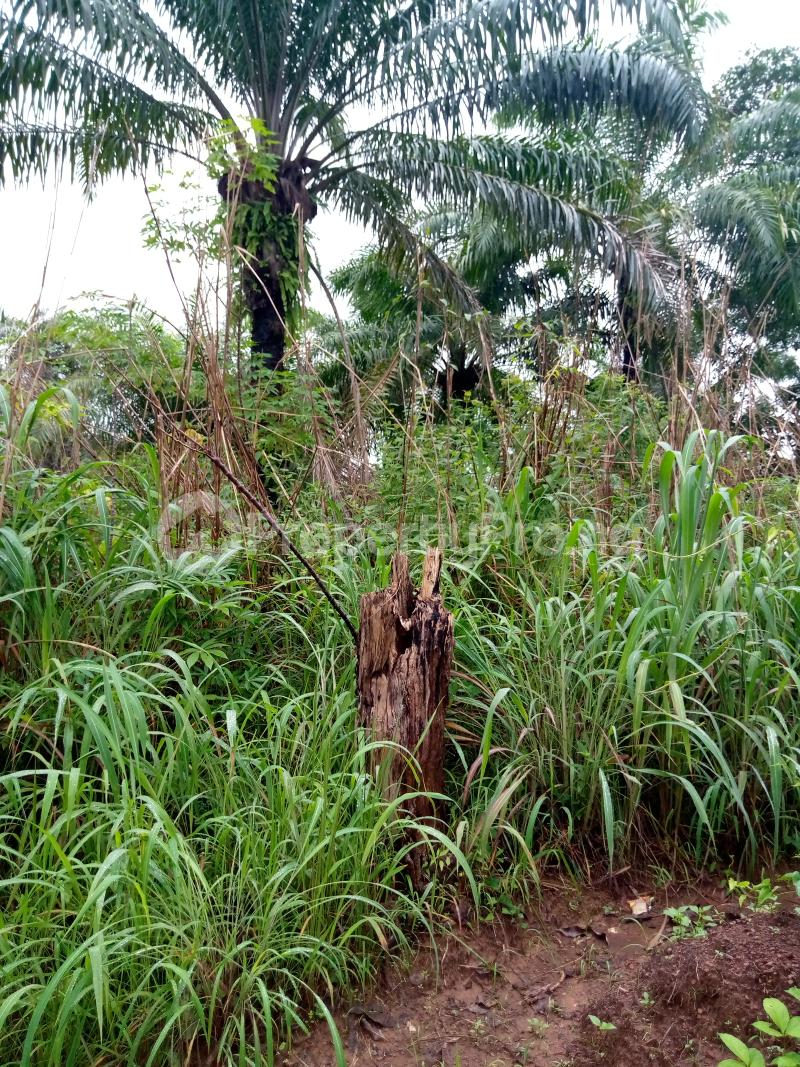 Land for sale Amokpo Nike Enugu Enugu