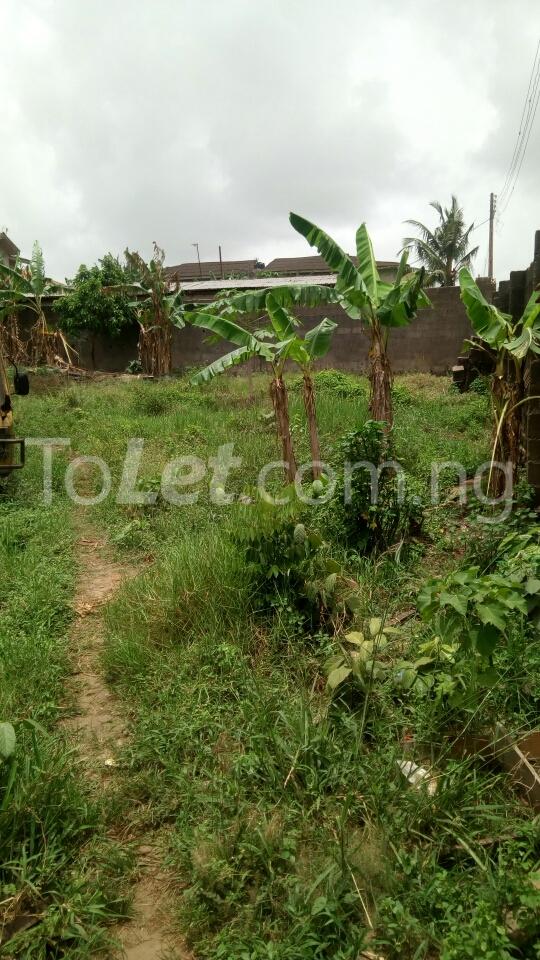 Land for sale Bucknor Estate Bucknor Isolo Lagos