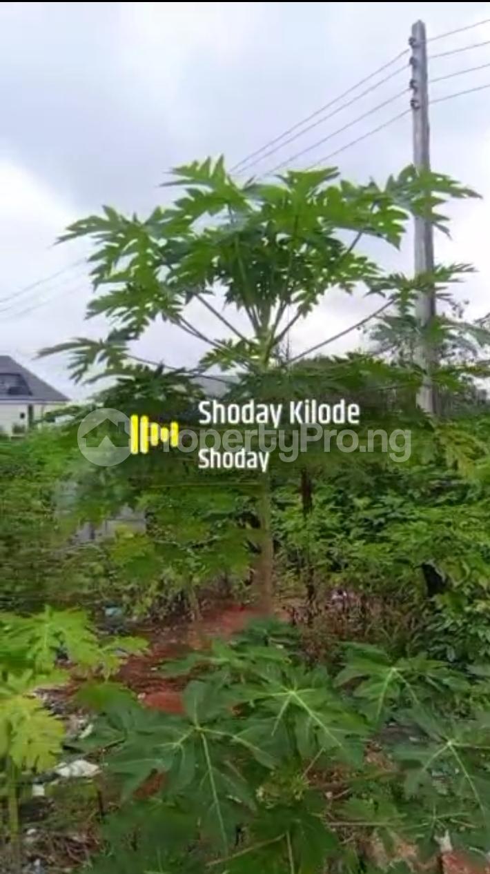 Land for sale Jericho Nihort Idishin Jericho Extension Iletuntun/Jericho extension Ibadan Oyo