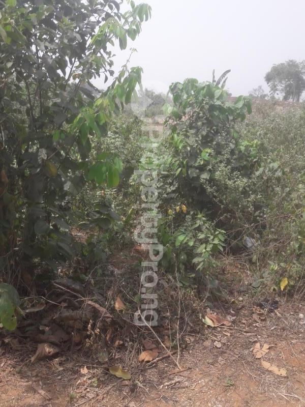 Land for sale Odongunyan Ikorodu Lagos