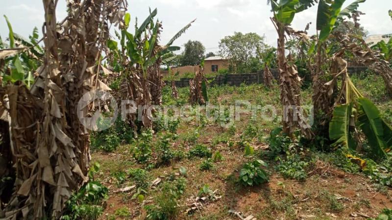 Land for sale Obafemi Owode Ogun