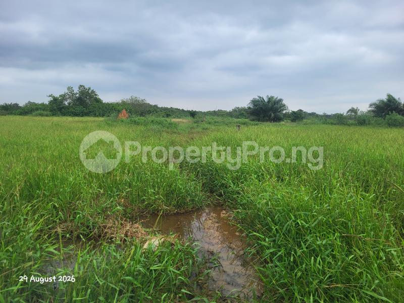 Land for sale Forthright Estate Arepo Arepo Ogun - 0
