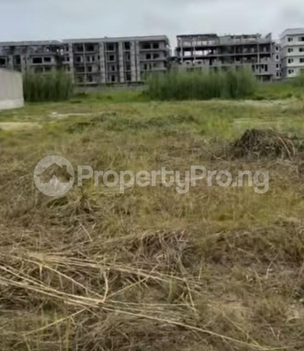 Land for sale Lekki Foreshore Freedom Way Lekki Lagos