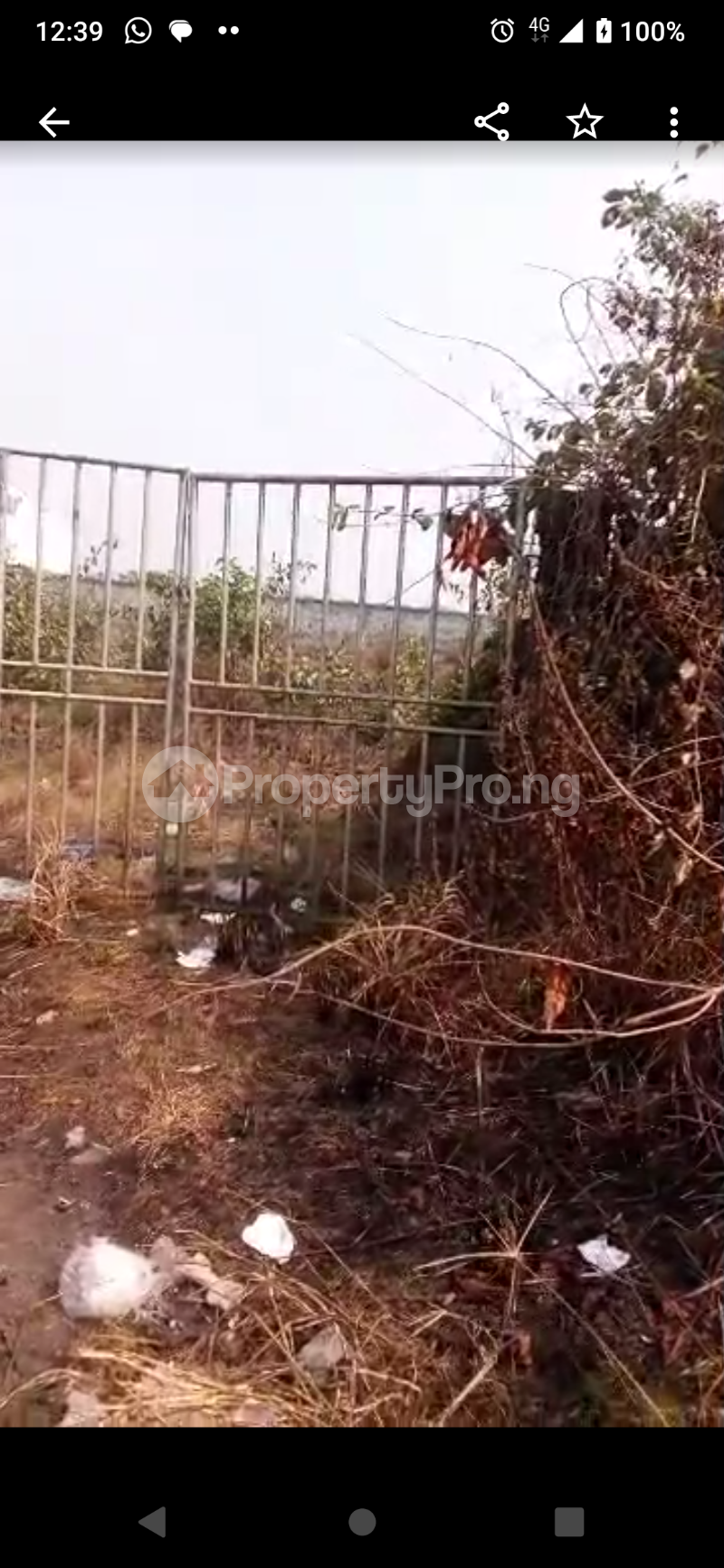 Land for sale Dangote Refinery Road Eleko Ibeju-Lekki Lagos