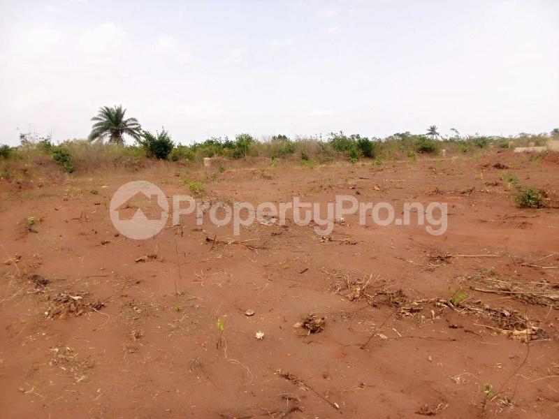 Land for sale Richpalm Estate Phase 1 Strategically Located Behind Novare Mall Monastery road Sangotedo Lagos