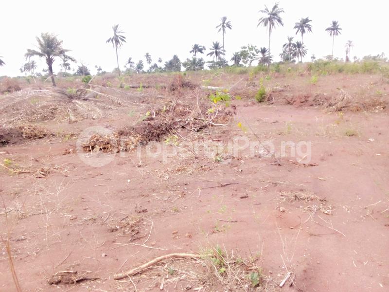 Land for sale Dike Residence Located In Atuma Iga Oshimili North Delta