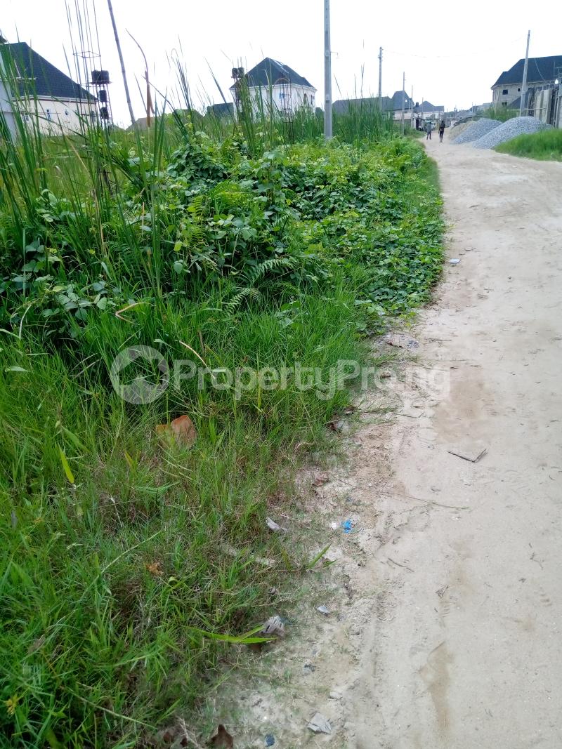 Land for sale Vip Garden Abule Ado,close To Aspamda Tradefair Festac Amuwo Odofin Lagos - 1