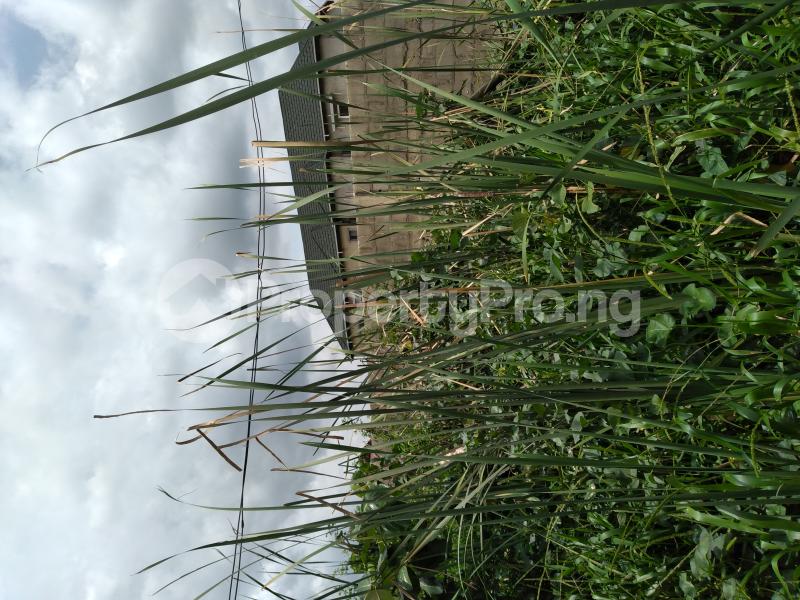Land for sale Taodaq Estate Ifako-gbagada Gbagada Lagos