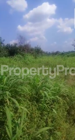 Land for sale Naze, Behind Finca Microfinance Bank Estate, Owerri. Owerri Imo
