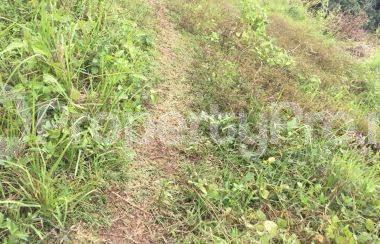 Land for sale Idiroko Ado Odo/Ota Ogun