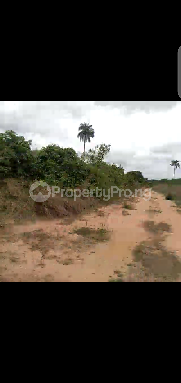 Land for sale Around Ph Road, Avu Amafor Axis, Owerri, Imo State Owerri Imo