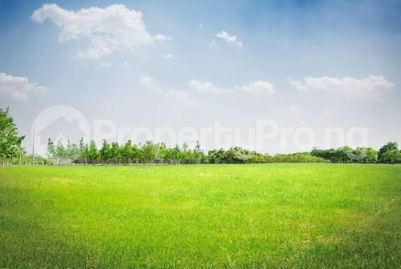 Land for sale Amuwo Odofin Amuwo Odofin Lagos