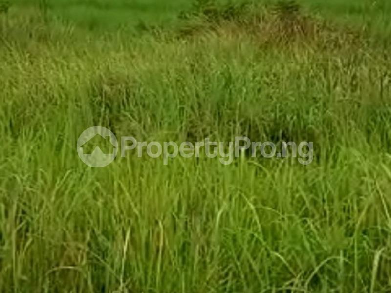 Land for sale Banana Island Banana Island Ikoyi Lagos - 0