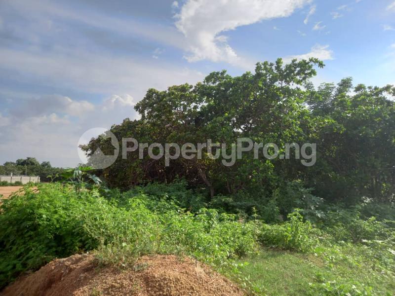 Land in Jahi Abuja Land for sale in jahi Land in jahi PropertyPro