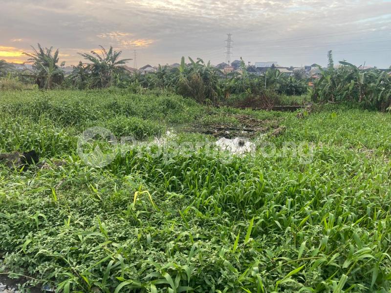 Land for sale Dapson Estate Oke-Ira Ogba Lagos