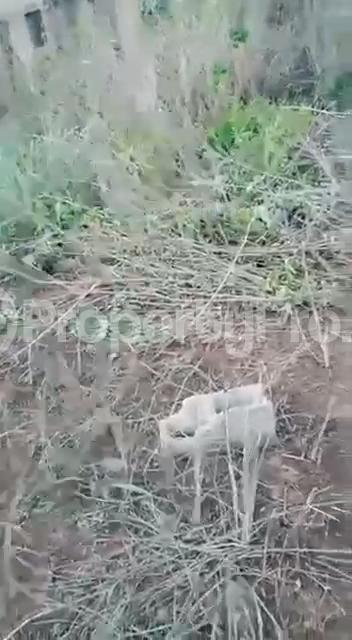 Land for sale Ofada Mowe Arepo Ogun