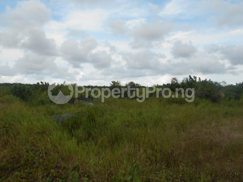 Land for sale Owerri Imo