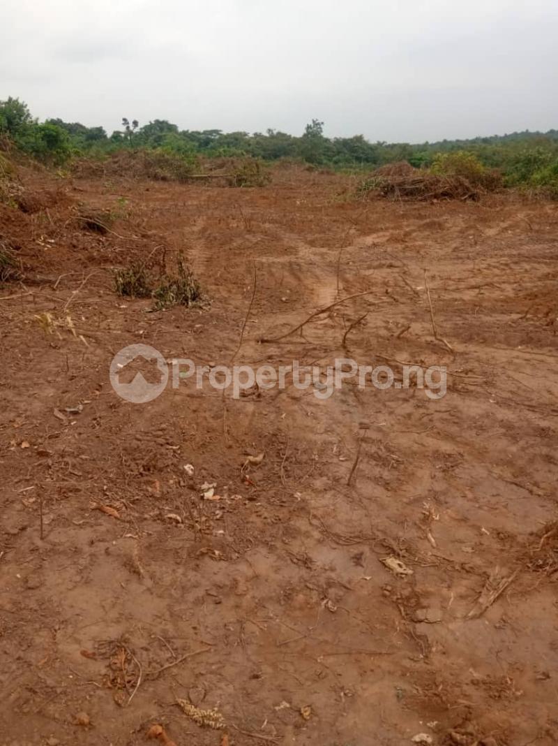 Land for sale Okun Ilado Free Trade Zone Ibeju-Lekki Lagos