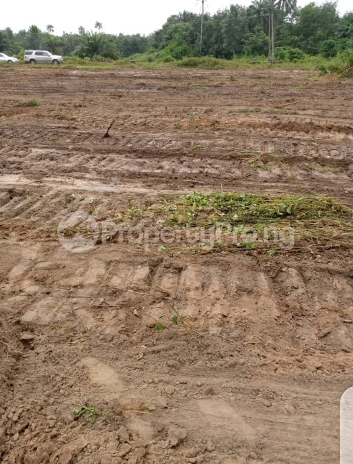 Land in Asaba Delta Land for sale in asaba Land in asaba