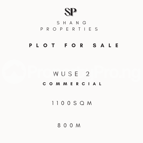 Land for sale Wuse 2 Abuja