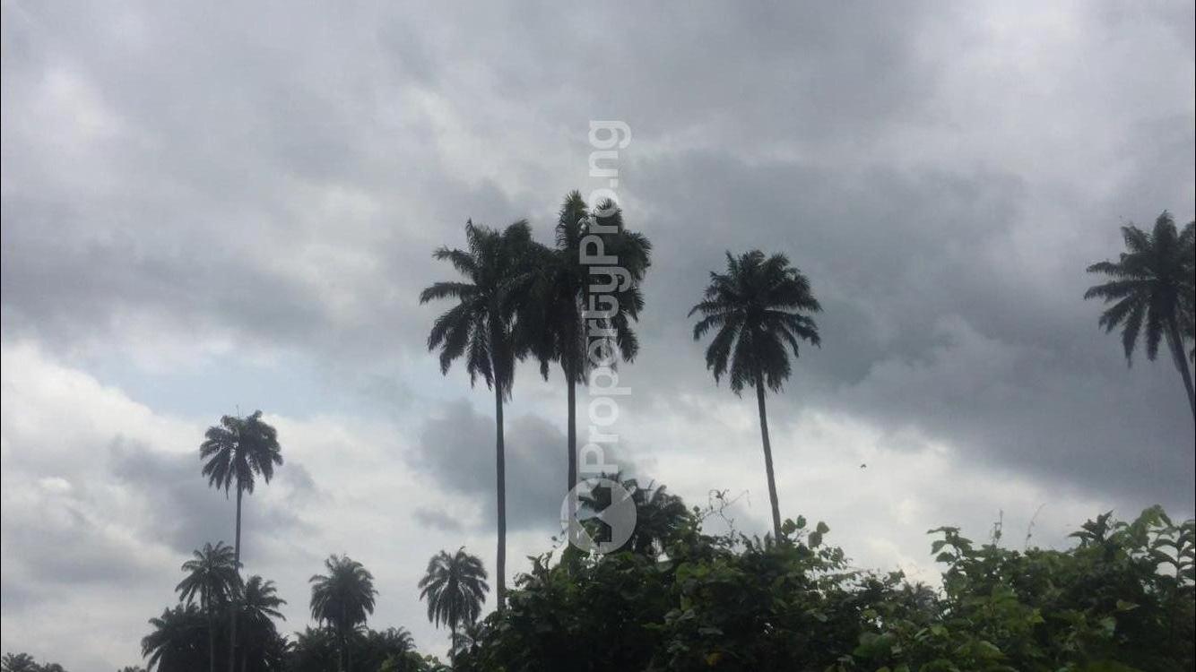 Land for sale Wigwe University Isiokpo, Portharcourt Int.airport. Port Harcourt Rivers