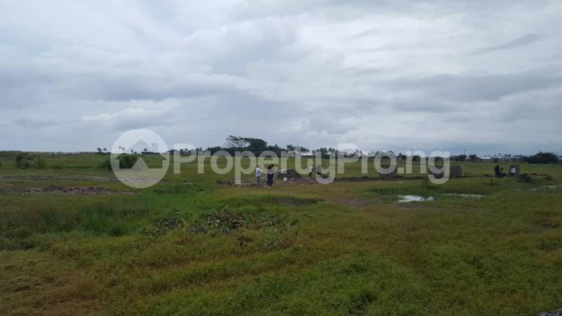 Land for sale Dangote Refinery Road LaCampaigne Tropicana Ibeju-Lekki Lagos - 2