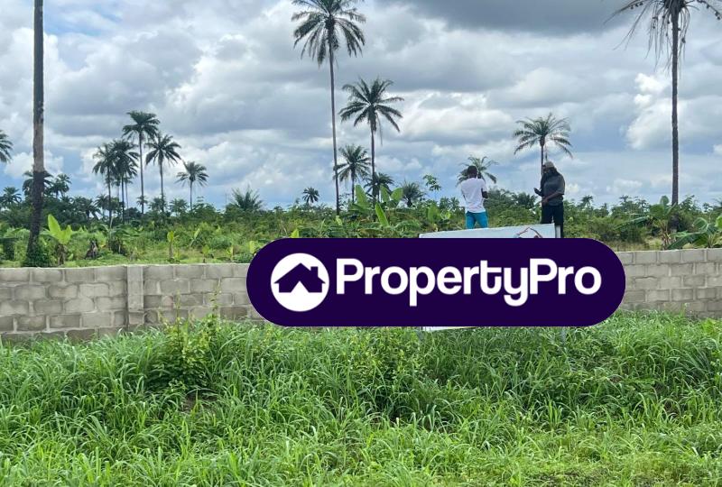 Land for sale At The Nexus Of Lagos And Ogun With A Payment Plan In Tomoba Ijebu Ode, Epe, Lagos Lekki Lagos - 0
