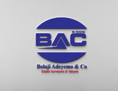 Bolaji Adeyemo & Co.