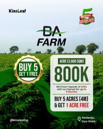 Land for sale Ba Farms Itesiwaju Oyo