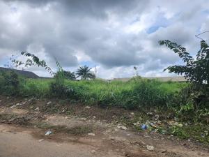 Land for sale Podo Along Old Lagos Ibadan Expressway, Ibadan Oyo