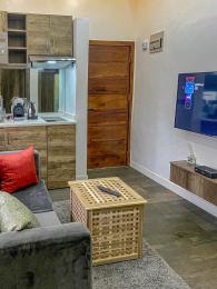 1 bedroom Flat / Apartment for shortlet Lekki Phase 1 Lekki Lagos