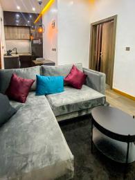 1 bedroom Flat / Apartment for shortlet Lekki Phase 1 Lekki Lagos