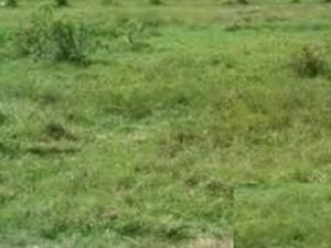 Land for sale Igbo Eche Obio-Akpor Rivers