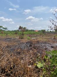 Land for sale Medina Bus Stop, Agbara Agbara-Igbesa Ogun