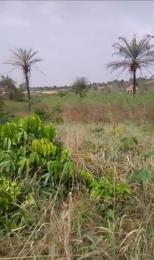 Land for sale Location :utoka, Boundary By Egor, Through Egor Market Area Egor Edo