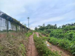 Land for sale Location Sapele Road Bypass Area In Between Captain Hosa Tomatoes Farm And Idogbo Bypass, Just 200ft From The Express Road Oredo Edo