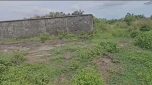 Land for sale Eleko Junction Ibeju-Lekki Lagos
