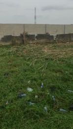 Land for sale Facing Expressway Abijo Ajah Lagos