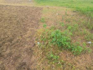 Land for sale Jahi Abuja