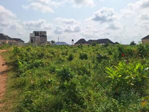 Land for sale Biu Estate At Amagba Gra Benin City Central Edo