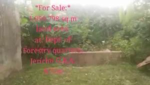 Land for sale Forestry Quarters,jericho Gra Jericho Ibadan Oyo