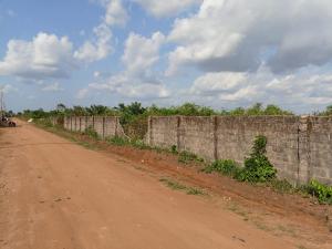 Land for sale Uhonlor Community Off Airport Road Benin City Oredo Edo