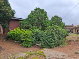 Land for sale Bashorun Housing Estate Akobo Ibadan Oyo